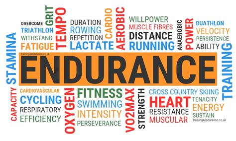 definition of endurance in physical education|Definition of Power, Strength & Endurance In Sport.